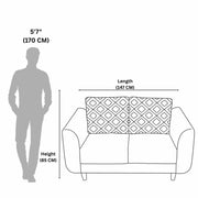 Butterfly 2-Seater Sofa  Redefining Comfort with Style