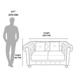 Chester 2-Seater Sofa  Elegance and Comfort Redefined