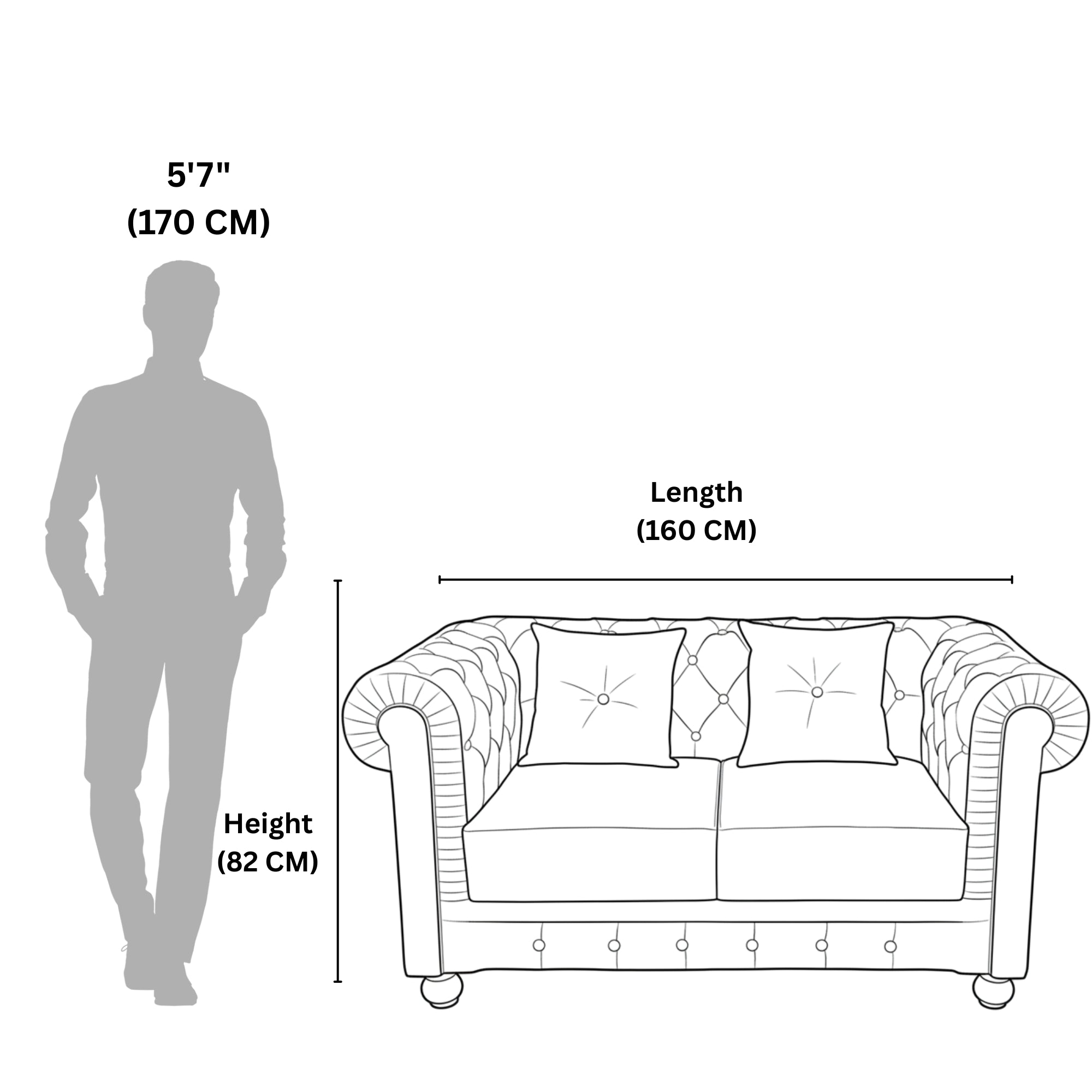 Chester 2-Seater Sofa  Elegance and Comfort Redefined