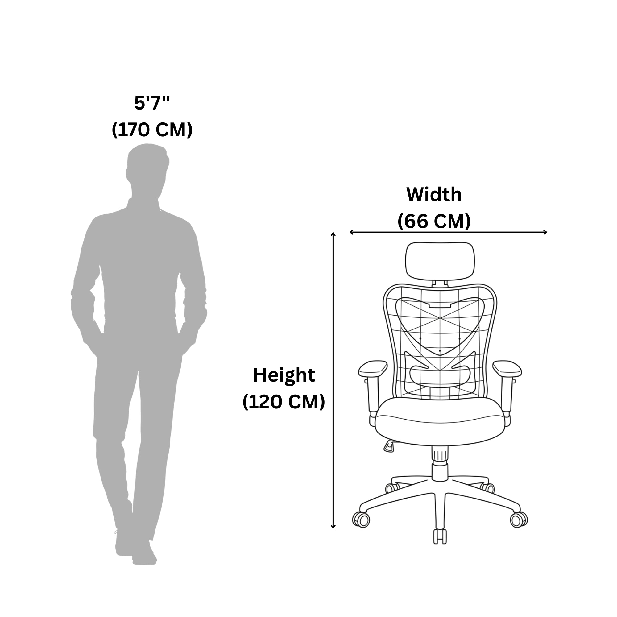 Eezy Office Chair 454A - Adjustable Ergonomic Office Chair with SS Base