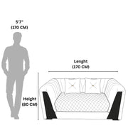 Duke 2-Seater Sofa  The Epitome of Modern Elegance