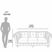 Chester 3 Seater Sofa  A Sophisticated Blend of Comfort and Style