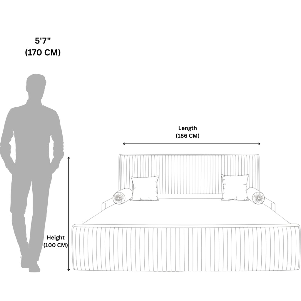 Neptune Diwan Cum Bed  Where Comfort Meets Functionality