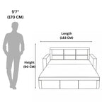 Indus Sofa Cum Bed  Elegance Meets Utility