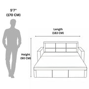 Indus Sofa Cum Bed  Elegance Meets Utility