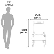 Conch dining chair size diagram