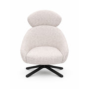 Leisure Chair DY0220 - Upholstered Lounge Chair with SS Base: