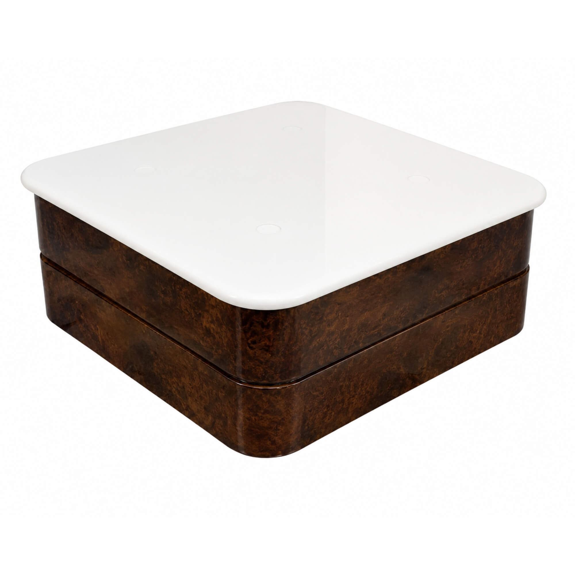 Altona Coffee Table- Contemporary Luxury with Functional Sophistication