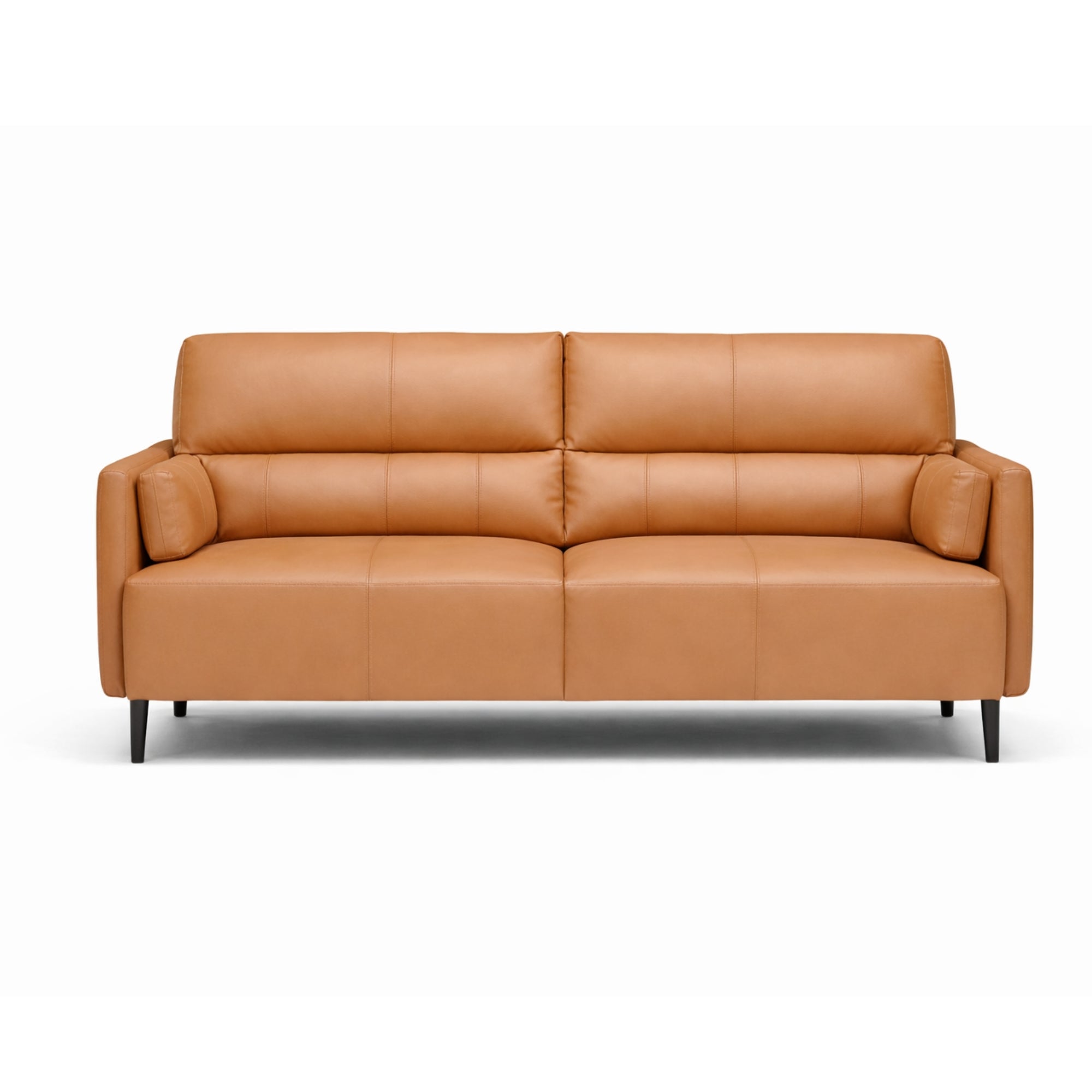 Salone 2-Seater Leather Sofa - Luxury Mustard Leather Sofa for Stylish Living Rooms