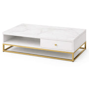 Ivory Coffee Table BB7  Marble Top Centre Table with Storage