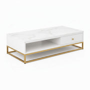 Ivory Coffee Table BB7  Marble Top Centre Table with Storage