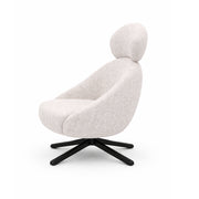 Leisure Chair DY0220 - Upholstered Lounge Chair with SS Base: