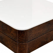 Altona Coffee Table- Contemporary Luxury with Functional Sophistication