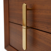 Gold handle on a wooden door