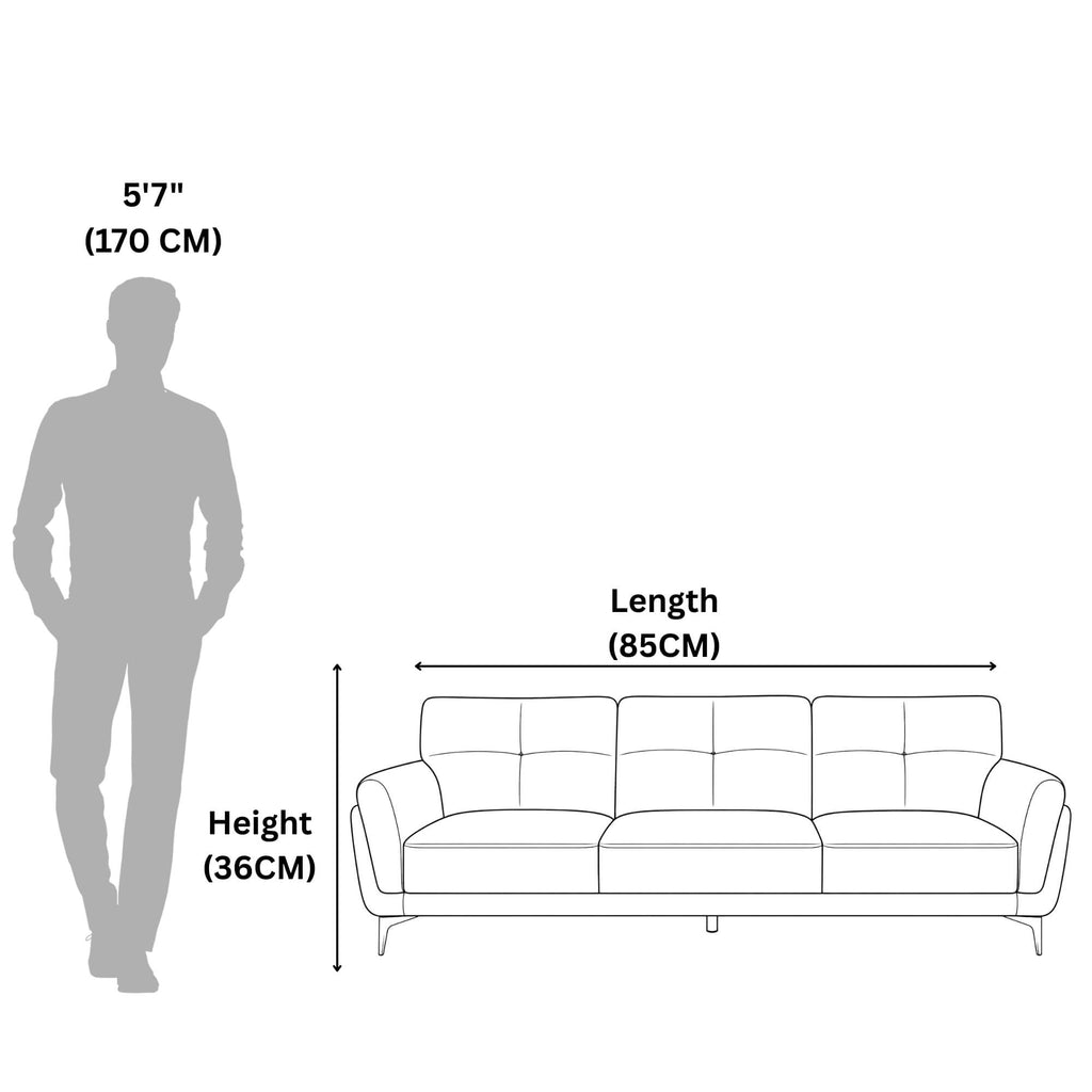 Jackson 3 Seater Sofa- Contemporary Lounge Appeal