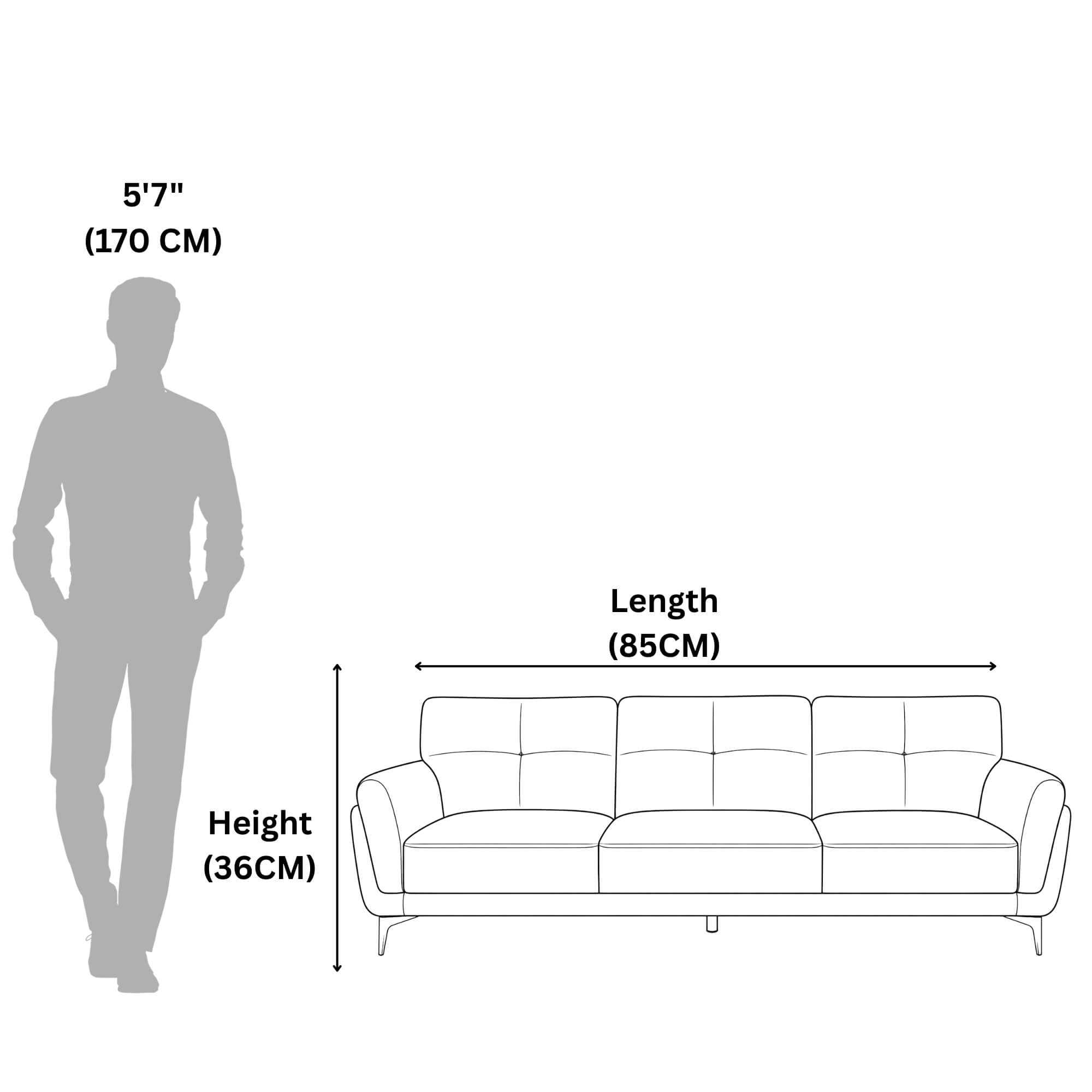 Jackson 3 Seater Sofa- Contemporary Lounge Appeal