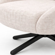Leisure Chair DY0220 - Upholstered Lounge Chair with SS Base:
