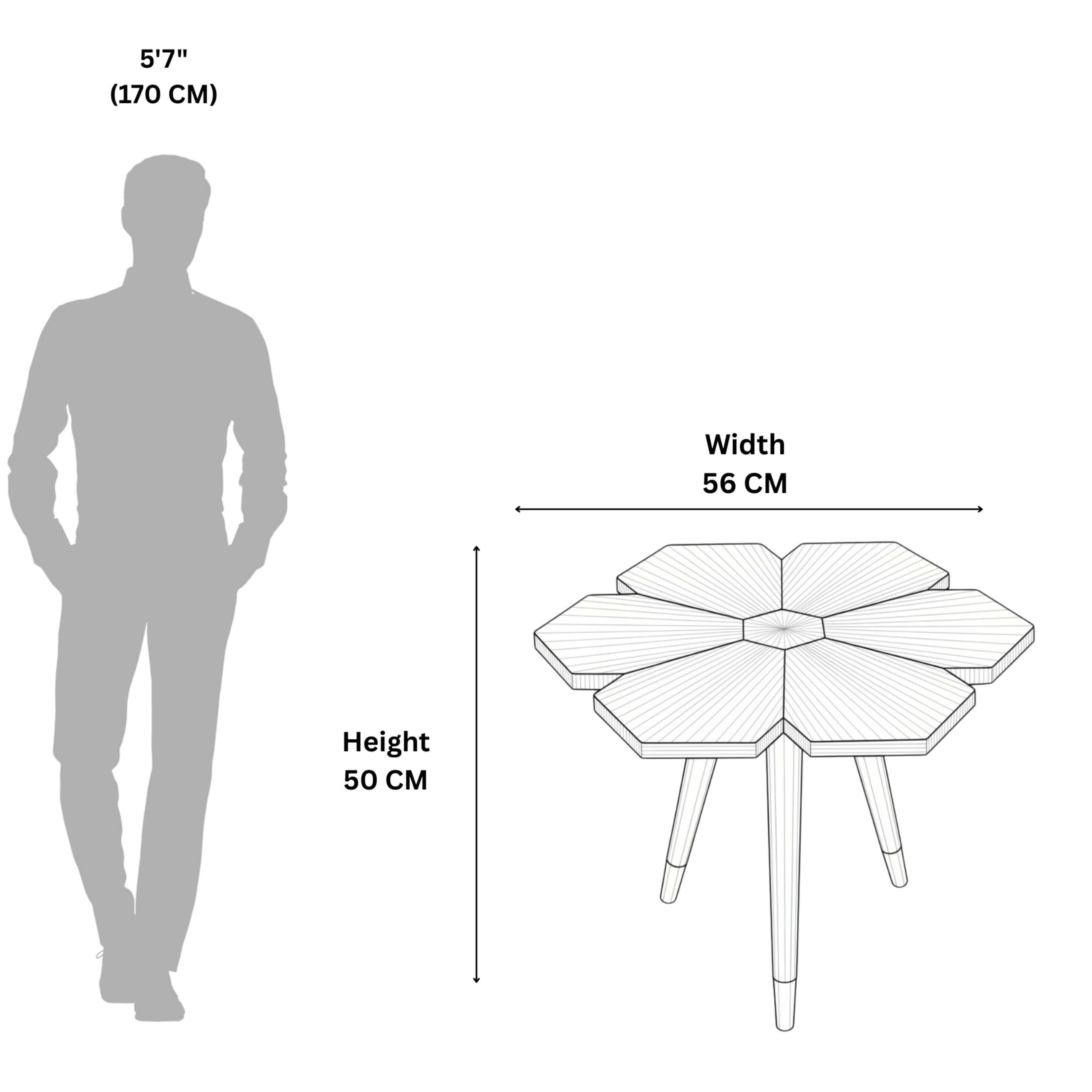 Kamal End Table  Walnut Solid Wood Side Table for Living Spaces