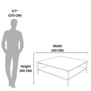 292E Coffee Table – Contemporary Contrast with Sleek Structural Elegance