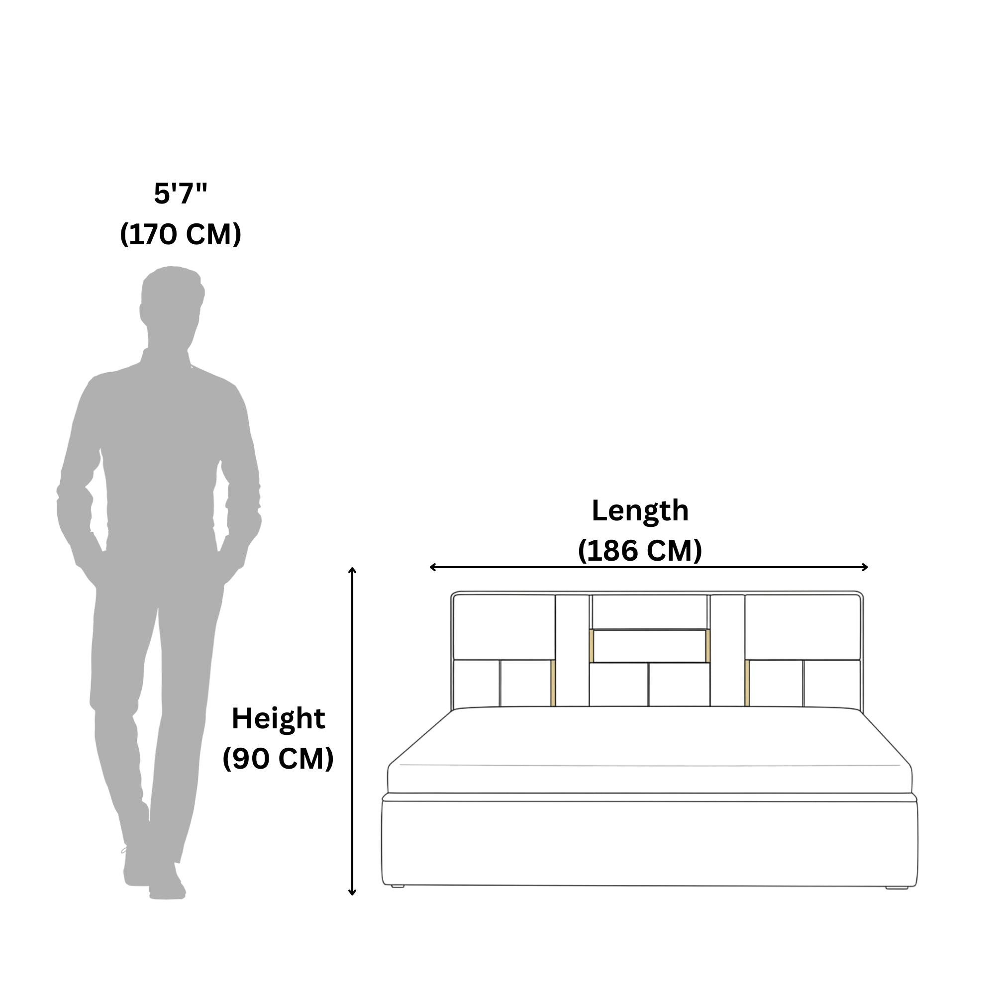 Shine Sofa Cum Bed- Serenity Blue Sleeper Sofa