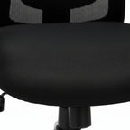 Eezy Office Chair 454A - Adjustable Ergonomic Office Chair with SS Base