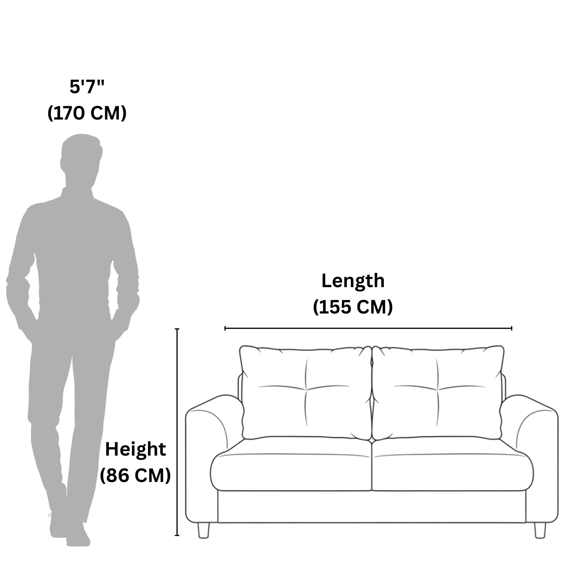 Krish 2 Seater Sofa – Modern Comfort for Stylish Living