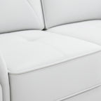 Tesla 2-Seater Sofa  Modern Elegance Meets Comfort
