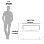 Measurement chart showing a person's height and a bed with dimensions labeled.