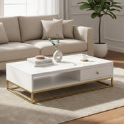 Ivory Coffee Table BB7  Marble Top Centre Table with Storage