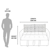 Super Sofa Cum Bed  Ultimate Comfort Meets Timeless Style