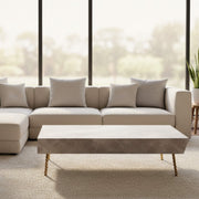 Aspire Coffee Table with textured marble table top in smooth finish and twisted metallic legs| Krishna Furniture.