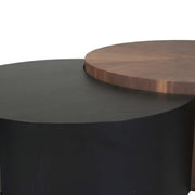 Coffee Table Set