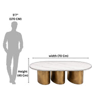 Oval Marble Coffee Table 821 illustrates the height and width dimensions of the coffee table.